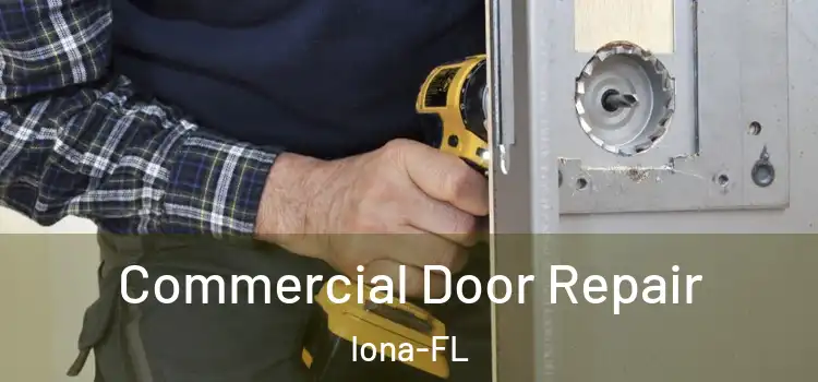  Commercial Door Repair Iona-FL