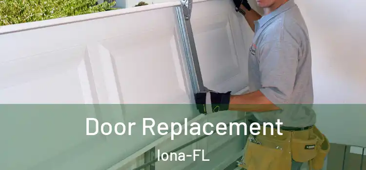  Door Replacement Iona-FL