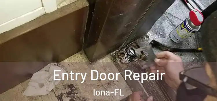 Entry Door Repair Iona-FL