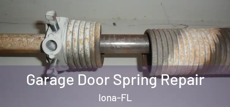  Garage Door Spring Repair Iona-FL