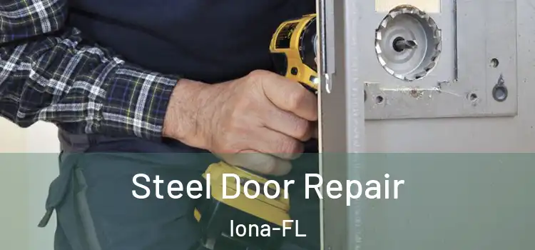  Steel Door Repair Iona-FL