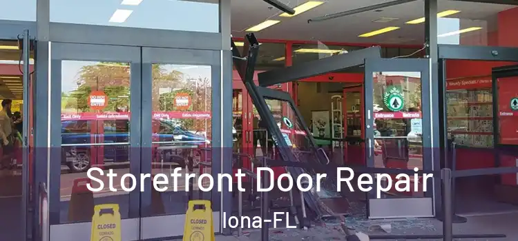 Storefront Door Repair Iona-FL